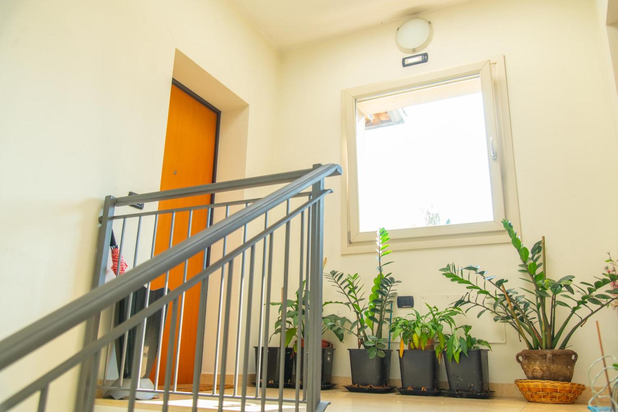 Renata Apartamento